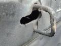 капот Toyota Auris 1 поколение 2009, 2.2 л., D-CAT, дизель, МКПП, хетчбэк 5 дв., 5330102160 - фото №12