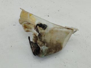 бачок омывателя Opel Zafira 1 поколение (A) [рестайлинг] 2004, 1.8 л., бензин, минивэн