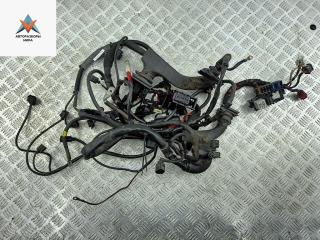 проводка двигателя Audi A6 4F/C6 2004, 2.0 л., дизель, МКПП, чёрный, седан, 4F1971072AT