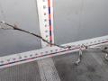 трубка кондиционера Hyundai Santa Fe 3 поколение (DM) [рестайлинг] 2015, 2.2 л., дизель, МКПП, внедорожник 5 дв. - фото №7