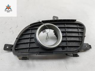 рамка фары противотуманной левой Mercedes-Benz A-Класс W169 2005, 2.0 л., дизель, АКПП, серый, хетчбэк 5 дв., 1698850722