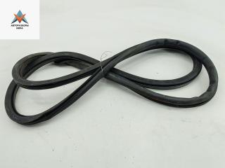 уплотнитель двери Volkswagen Passat B6 2007, 2.0 л., дизель, МКПП, чёрный, универсал, 3C4867911B
