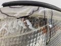 Поворотник (указатель поворота) левый Mercedes-Benz C-Класс W202/S202 [рестайлинг] 2000, 1.8 л., бензин, АКПП, синий, универсал, 2028260943 - фото №2