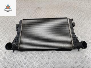 радиатор интеркулера Volkswagen Touran 1 поколение 2003, 2.0 л., дизель, МКПП, серый, минивэн, 1K0145803A