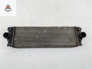 радиатор интеркулера Volkswagen Crafter 1 поколение 2007, 2.5 л., дизель, МКПП, белый, микроавтобус