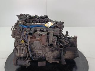 двигатель Ford Focus 2 поколение [рестайлинг] 2010, цвет, G8DD