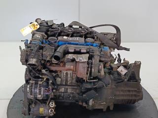 двигатель Ford Focus 2 поколение [рестайлинг] 2010, цвет, G8DD