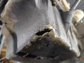 двигатель Opel Astra J 2010, цвет, A16XER - фото №5