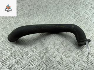 патрубок радиатора IVECO Daily 4 поколение 2007, 2.3 л., дизель, 504003922