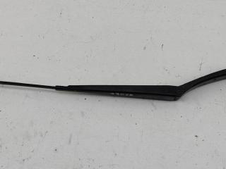 Щеткодержатель (поводок стеклоочистителя) передний Audi A3 8P 2003, 1.6 л., бензин, МКПП, серый, хетчбэк 3 дв., 8P1955409B