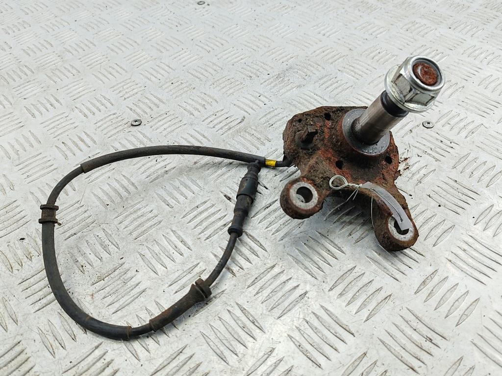 Цапфа задняя (ось ступицы) Renault Scenic I 2002, 1.9 л., дизель, МКПП, зелёный, минивэн