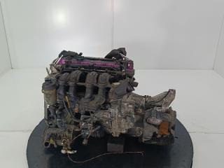 двигатель Ford Focus 2 поколение [рестайлинг] 2008, цвет, SHDA