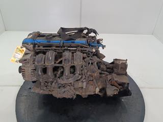 двигатель Ford Fiesta 6 поколение 2011, цвет, SNJB