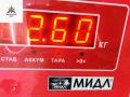 суппорт задний левый Ford Focus 1 поколение 2000, 1.6 л., i, бензин, АКПП, серый, универсал - фото №4