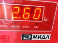 суппорт задний левый Ford Focus 1 поколение 2000, 1.6 л., i, бензин, АКПП, серый, универсал - фото №4