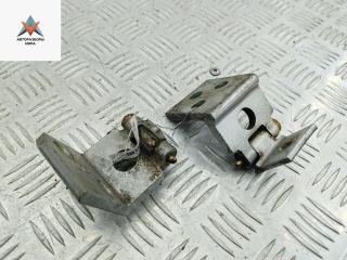 петля двери Citroen Xsara Picasso 1 поколение 2001, серый, минивэн