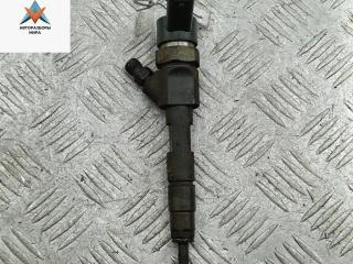 форсунка Renault Scenic 1 поколение [рестайлинг] 2002, 1.9 л., дизель, МКПП, зелёный, минивэн, 0445110021, 7700111014