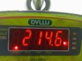 двигатель Nissan X-Trail T30 [рестайлинг] 2006, 2.2 л., DCi, дизель, МКПП, внедорожник 5 дв., YD22DDTI - фото №12