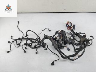 проводка двигателя Audi A6 4F/C6 2006, 2.7 л., дизель, МКПП, чёрный, универсал, 4F0907401C, 4F1971072JM