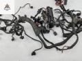 проводка двигателя Audi A6 4F/C6 2006, 2.7 л., дизель, МКПП, чёрный, универсал, 4F0907401C, 4F1971072JM - фото №3