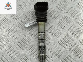 катушка зажигания Skoda Octavia mk1 (A4 1U) 2002, 1.8 л., бензин, МКПП, серый, универсал, 06B905115L