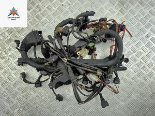 проводка двигателя BMW 5 серия E39 1999, 2.5 л., бензин, АКПП, синий, универсал, 1439174