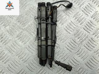 Форсунка топливная (комплект) Audi A6 4B/C5 1999, 2.5 л., дизель, МКПП, серый, универсал, 059130201A, 059130202B