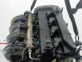 двигатель Ford Focus 2 поколение [рестайлинг] 2008, 1.8 л., бензин, МКПП, хетчбэк 5 дв., QQDAQQDBQ7DAQ7DB - фото №7