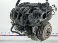 двигатель Ford Focus 3 поколение 2012, 1.6 л., бензин, МКПП, хетчбэк 5 дв., IQDB - фото №5