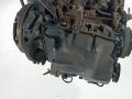 двигатель Ford Transit 7 поколение 2008, 2.2 л., дизель, МКПП, микроавтобус, QVFA - фото №10