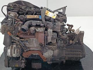двигатель Ford Focus 2 поколение 2006, цвет, G8DD