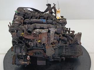 двигатель Ford Focus 2 поколение 2006, цвет, G8DB
