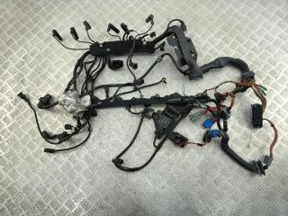 проводка двигателя BMW 3 E90/E91/E92/E93 2006, 3.0 л., дизель, АКПП, чёрный, седан, 7796079, 7796068
