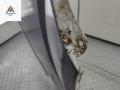 крыло переднее правое Volkswagen Crafter 1 поколение 2007, 2.5 л., дизель, МКПП, белый, микроавтобус - фото №6