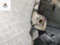 защита двигателя Volkswagen Sharan 1 поколение 1999, 1.9 л., дизель, МКПП, красный, минивэн, 7M0805687AK - фото №2