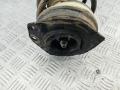 стойка передняя Renault Scenic 2 поколение 2005, 2.0 л., бензин, АКПП, синий, минивэн, 824902004119 - фото №3
