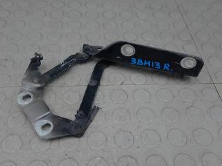 петля капота Land Rover Range Rover Evoque L538 2012, 2.2 л., дизель, МКПП, внедорожник 5 дв.