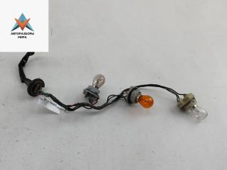Патрон лампы фонаря Nissan Pathfinder R51 2005, 2.5 л., дизель, АКПП, синий, внедорожник 5 дв.