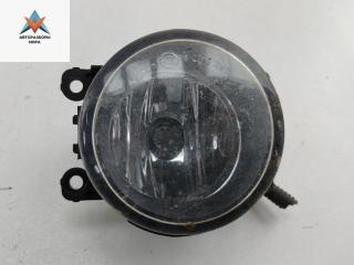 фара противотуманная правая Nissan Pathfinder R51 2005, 2.5 л., дизель, АКПП, синий, внедорожник 5 дв., 26154EA500