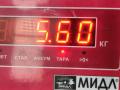 генератор Skoda Octavia mk1 (A4 1U) 2001, 2.0 л., бензин, МКПП, чёрный, универсал, 028903028D, 0124325003 - фото №7