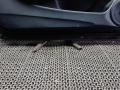 дверь передняя левая Honda Civic 8 поколение 2007, 1.8 л., бензин, МКПП, хетчбэк 5 дв. - фото №11
