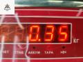 заглушка (решетка) в бампер Opel Vectra C [рестайлинг] 2006, 1.9 л., дизель, МКПП, белый, универсал, 13182906 - фото №5
