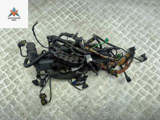 проводка двигателя BMW 7 серия E65/E66/E67 2003, 4.4 л., бензин, АКПП, серый, седан, 7516830, 7520803