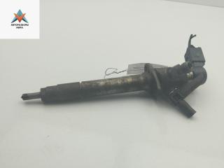 форсунка Peugeot 607 1 поколение [рестайлинг] 2006, 2.7 л., дизель, АКПП, серый, седан, 5U3Q9K546AA