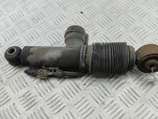 амортизатор задний правый Opel Signum 2006, 1.9 л., дизель, МКПП, серый, хетчбэк 5 дв.