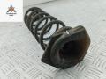 пружина задняя Renault Megane 3 поколение 2009, 1.4 л., бензин, МКПП, белый, хетчбэк 5 дв. - фото №3