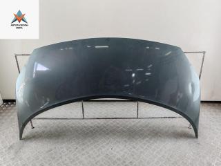 капот Renault Scenic 2 поколение 2004, 2.0 л., бензин, МКПП, зелёный, минивэн
