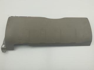 обшивка салона Nissan Pathfinder R51 2005, 2.5 л., дизель, АКПП, синий, внедорожник 5 дв., 68106EB300