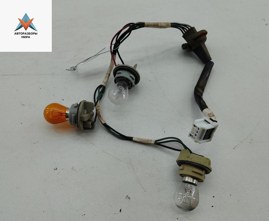 Патрон лампы фонаря Nissan Pathfinder R51 2005, 2.5 л., дизель, АКПП, синий, внедорожник 5 дв. - фото №1