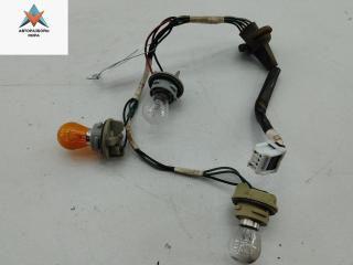 Патрон лампы фонаря Nissan Pathfinder R51 2005, 2.5 л., дизель, АКПП, синий, внедорожник 5 дв.
